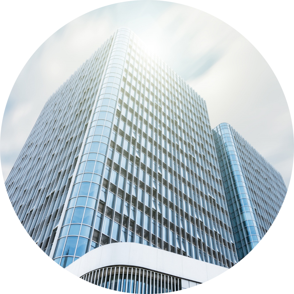 Why Choose BlueWhaleHubs